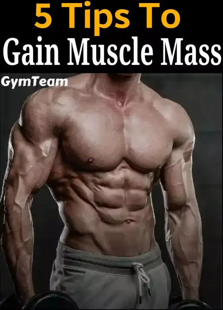 How to Gain Muscle