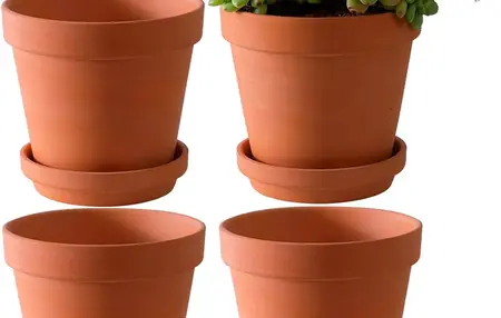 How to Choose the Right Size and Shape of Pot for Your Plants