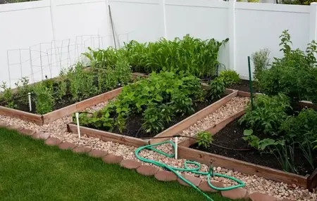 How to Start a Garden in a Small Space