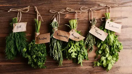 How to Grow a Herb Garden