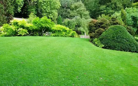 How to Care for Your Lawn