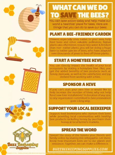 How to Help Bees