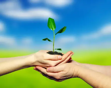 How to Be More Mindful of Your Surroundings