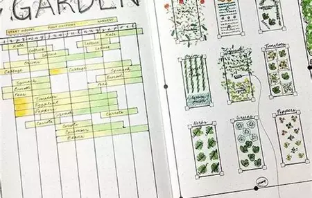 How to Start a Gardening Journal