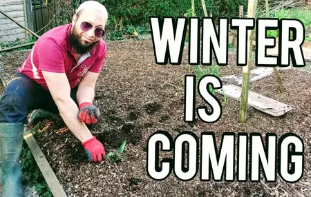 How to Prepare Your Garden for Winter