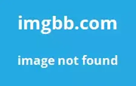 How to Learn to Use a Web Development Software