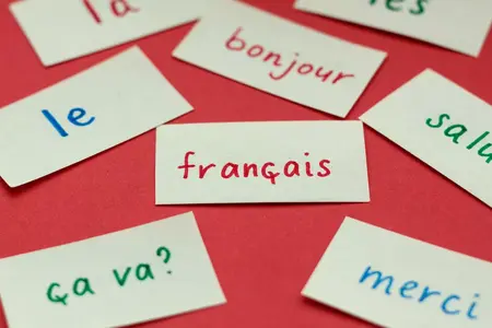 How to Learn to Speak French