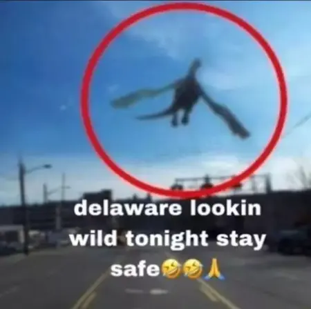 How to Stay Safe in the Wild