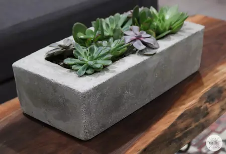 How to Make a Concrete Planter
