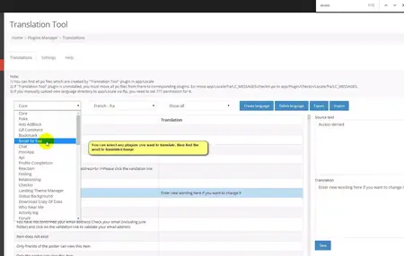 How to Use a Translation Tool