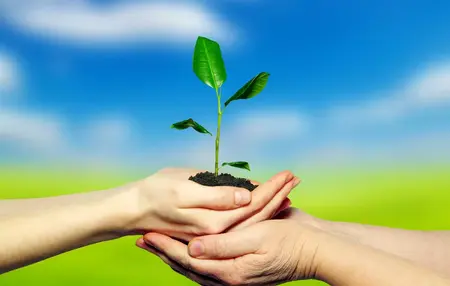 How to Be More Mindful of Your Surroundings