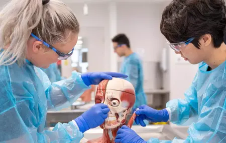 How to Learn About Medicine