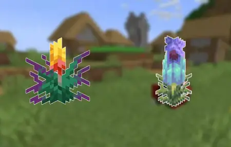 How to Use a Pitcher