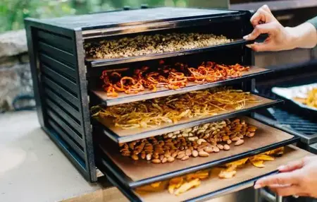 How to Use a Food Dehydrator for Healthy Snacks
