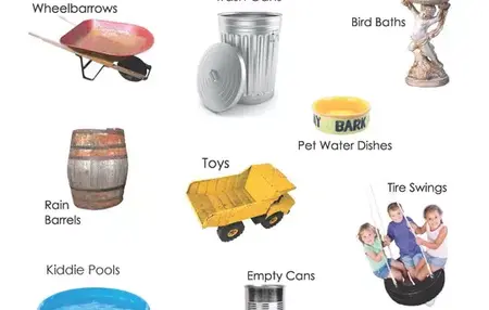 How to Get Rid of a Mosquito