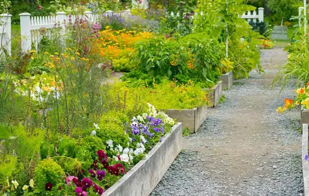 How to Start a Garden