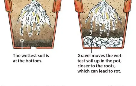 How to Make a Potted Plant