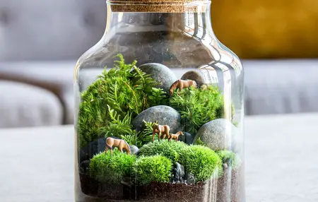 How to Make a Terrarium Garden