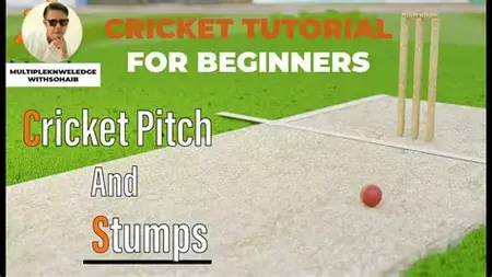 How to Learn to Play Cricket