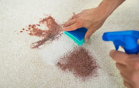 How to Get Rid of a Stain