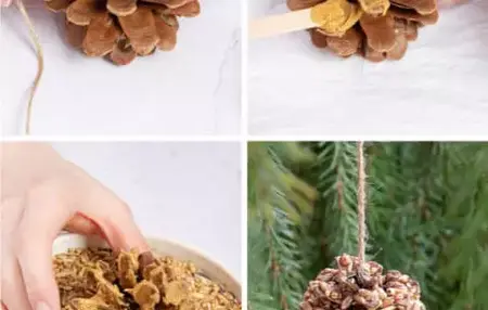 How to Make a Pinecone Bird Feeder