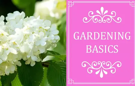 How to Learn to Garden