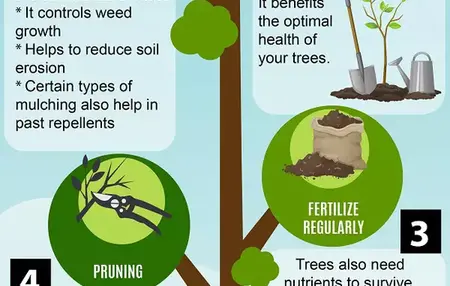 How to Care for Trees