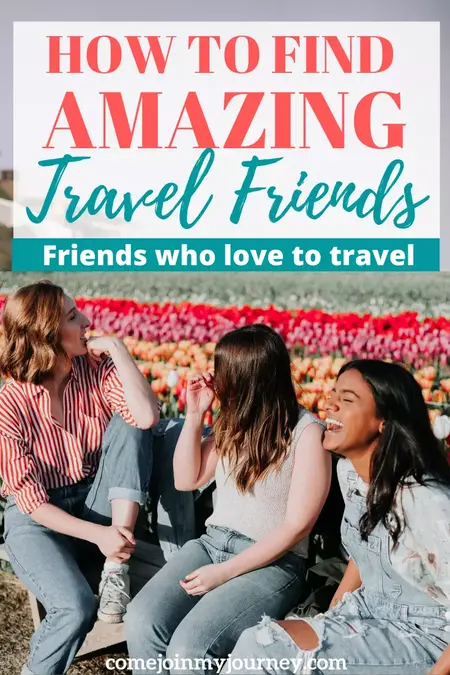 How to Find the Perfect Travel Companion