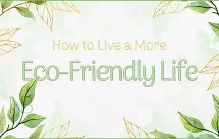 How to Live a More Eco-Friendly Life