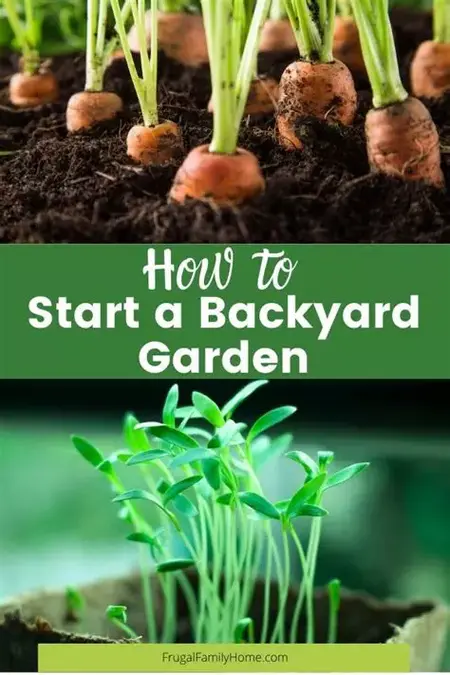 How to Start a Garden