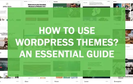 How to Use a WordPress Theme
