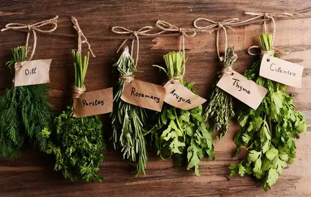 How to Grow a Herb Garden