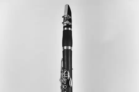 How to Learn to Play the Electronic Clarinet