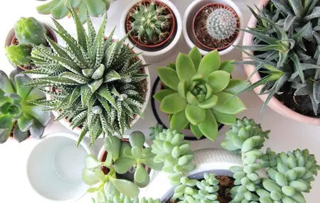 How to Start a Etsy Shop