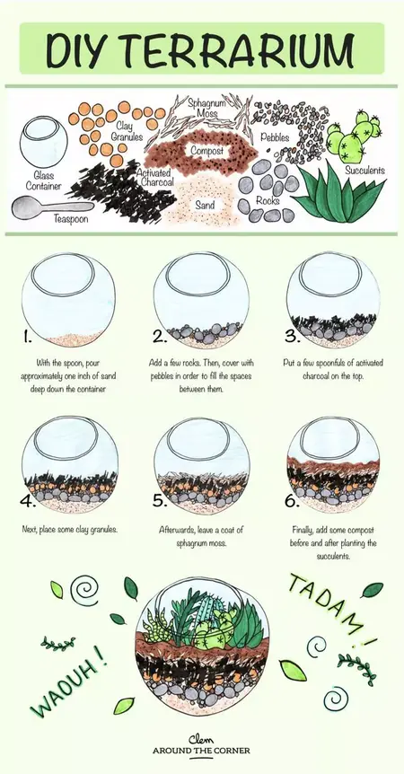 How to Make a Terrarium