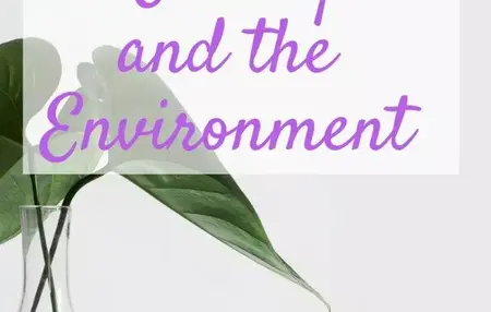 How to Make a Contribution