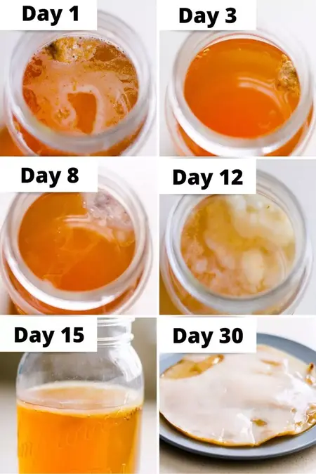 How to Make Kombucha Scoby