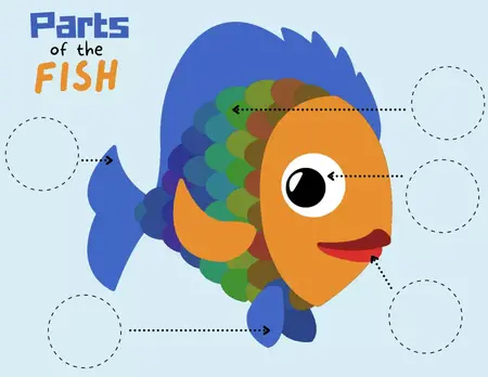 How to Learn to Fish