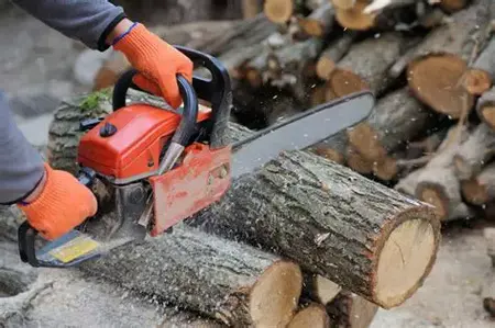 How to Use a Chainsaw Safely