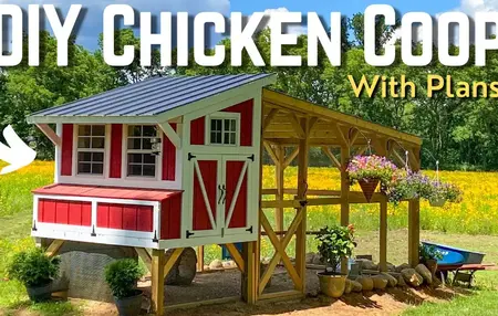 How to Build a Chicken Coop