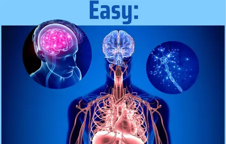 How to Understand the Human Body