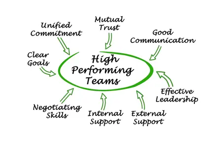 How to Build a High-Performing Team