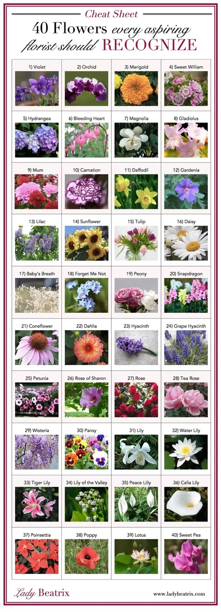 How to Identify Different Types of Flowers