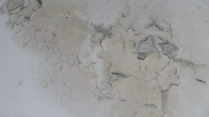 Dinding Lembap Berjamur? 5 Tips Atasi di Musim Hujan!