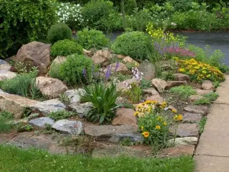 How to Make a Rock Garden