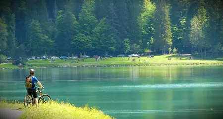 How to Get Started with Mountain Biking