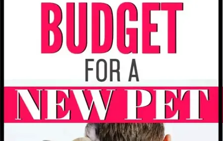 How to Make a Budget for a New Pet