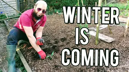 How to Prepare Your Garden for Winter