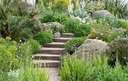 How to Make Your Garden More Sustainable