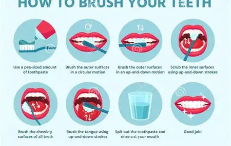 How to Use a Toothbrush